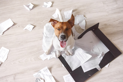 Health Care Communication: Electronic vs Paper Follow-Up for Millennials article